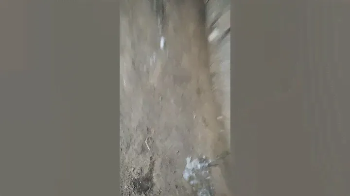 Оборвало шрус, заз таврия.