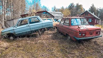 Запорожцы ГОДАМИ стояли в лесу. Оживим?