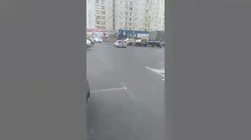 Чёткий запорожец