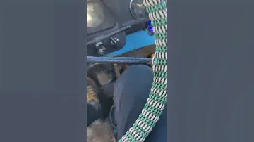 ЗАЗ 968М не едет назад при включенной задней передаче. Шум в коробке.