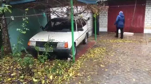 Шустрая таврия