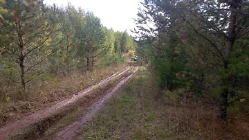 Заз-968