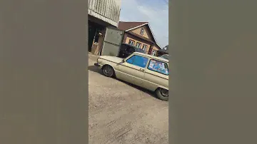 Выгнали зверя 🐆 ЗАЗ 968М