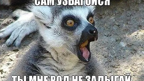 Багажник на крышу Славуты