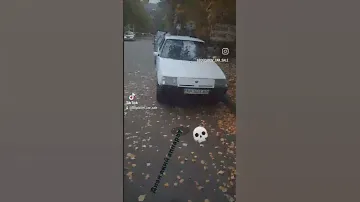 Зверь Таврия 1102 Юмор прикол
