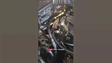 Собрали ЗАЗ шанс